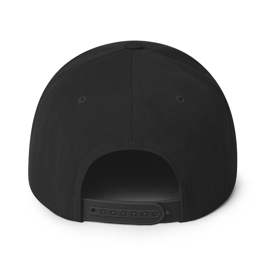 Scottsdale Recovery Logo Snapback Hat